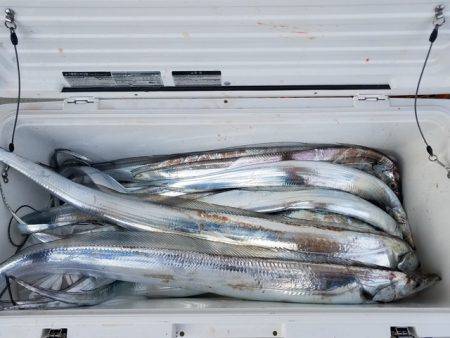 遊漁船　ニライカナイ 釣果