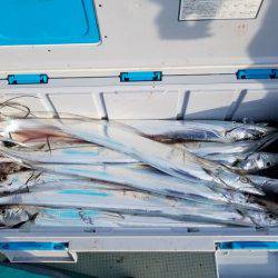 遊漁船　ニライカナイ 釣果