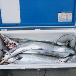 遊漁船　ニライカナイ 釣果