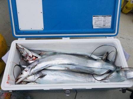 遊漁船　ニライカナイ 釣果