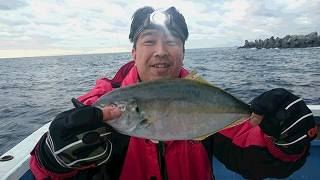 しまや丸 釣果