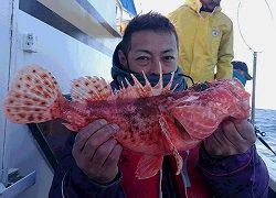 しまや丸 釣果