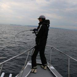 へいみつ丸 釣果