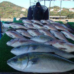カタタのつり堀 釣果