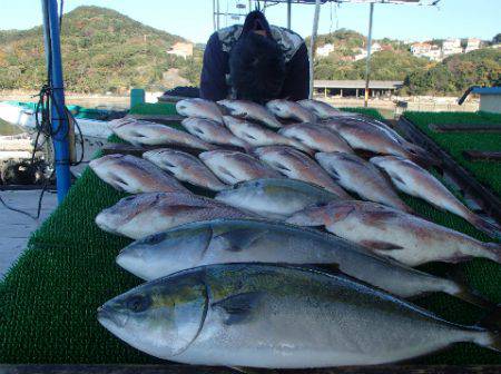 カタタのつり堀 釣果
