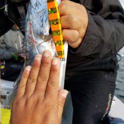 遊漁船 ニライカナイ 釣果