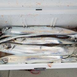 遊漁船 ニライカナイ 釣果