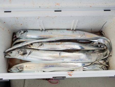 遊漁船 ニライカナイ 釣果