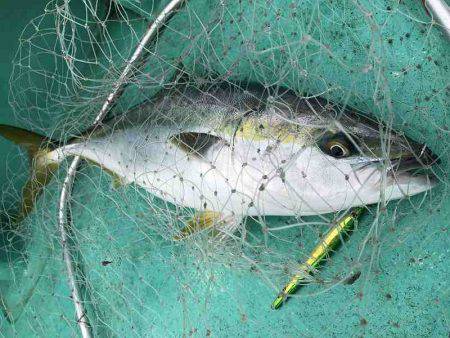 広進丸 釣果