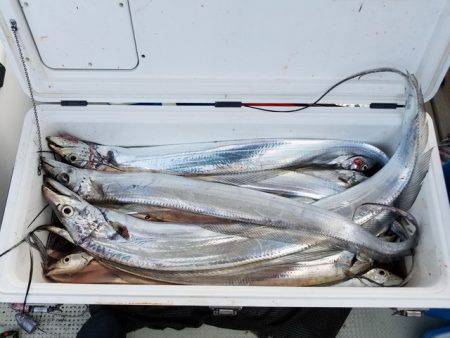遊漁船　ニライカナイ 釣果
