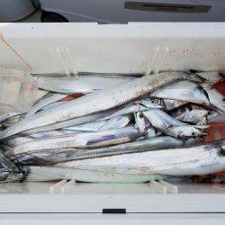 遊漁船 ニライカナイ 釣果