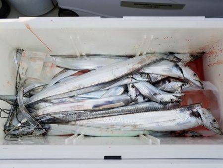 遊漁船 ニライカナイ 釣果