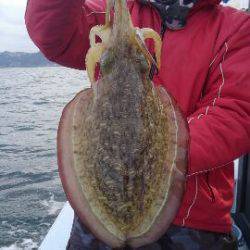 東京湾探釣隊ぼっち 釣果