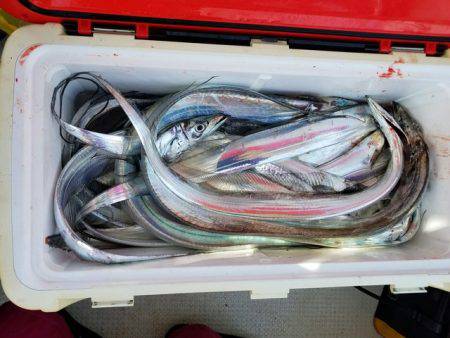 遊漁船　ニライカナイ 釣果