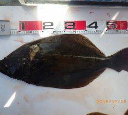 石川丸 釣果