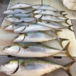 ミタチ丸 釣果