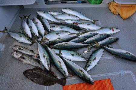 へいみつ丸 釣果