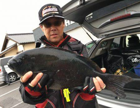 鵜来島家本渡船 釣果