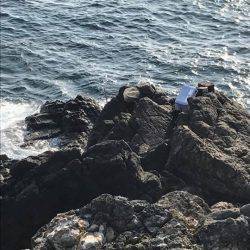 鵜来島家本渡船 釣果