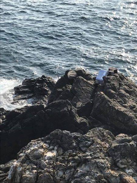 鵜来島家本渡船 釣果