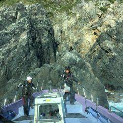 鵜来島家本渡船 釣果