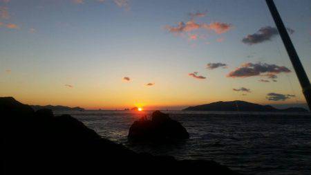 鵜来島家本渡船 釣果