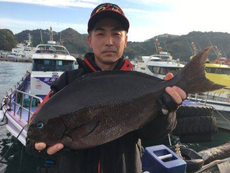 鵜来島家本渡船 釣果