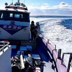 鵜来島家本渡船 釣果