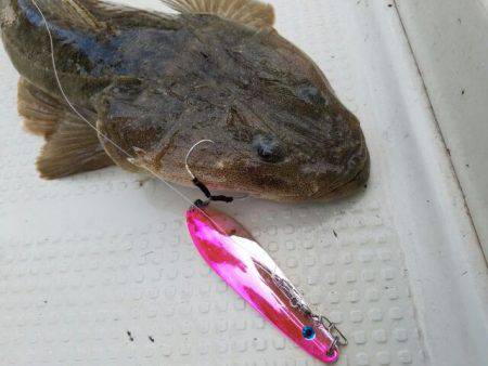 Magic(マジック) 釣果