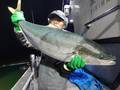 里輝丸 釣果