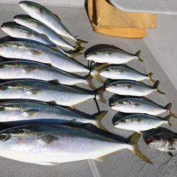 へいみつ丸 釣果