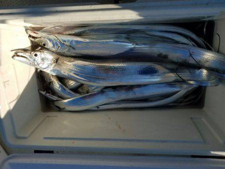 遊漁船　ニライカナイ 釣果