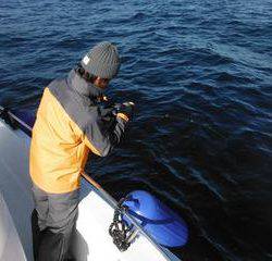 開進丸 釣果