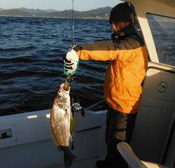 開進丸 釣果