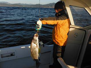 開進丸 釣果