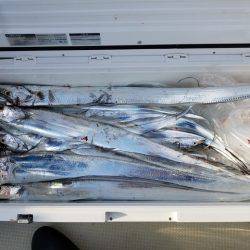 遊漁船 ニライカナイ 釣果