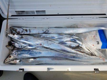 遊漁船 ニライカナイ 釣果