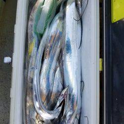 遊漁船　ニライカナイ 釣果