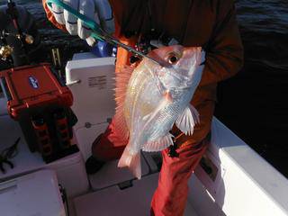 開進丸 釣果