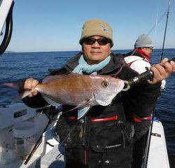 開進丸 釣果