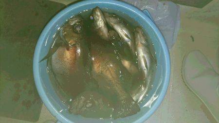 黒潮丸 釣果