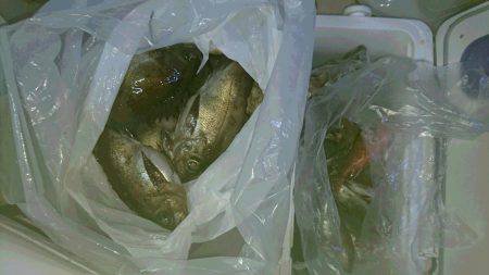 黒潮丸 釣果