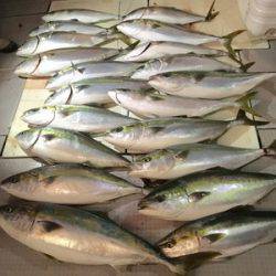 ミタチ丸 釣果