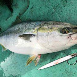 広進丸 釣果