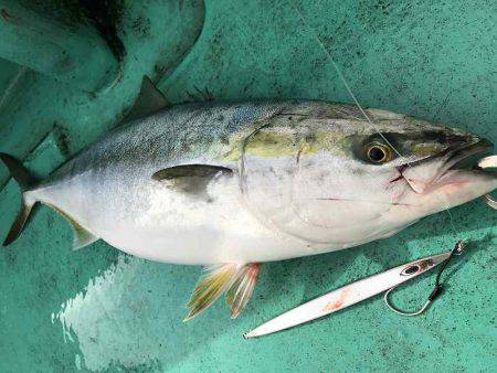 広進丸 釣果