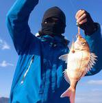 YELLOW-TAIL　イエローテール 釣果