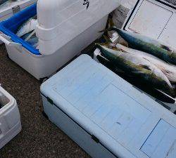 IDATEN(イダテン) 釣果