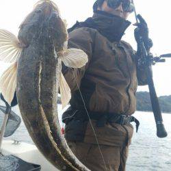 Magic(マジック) 釣果