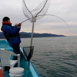 宝昌丸 釣果