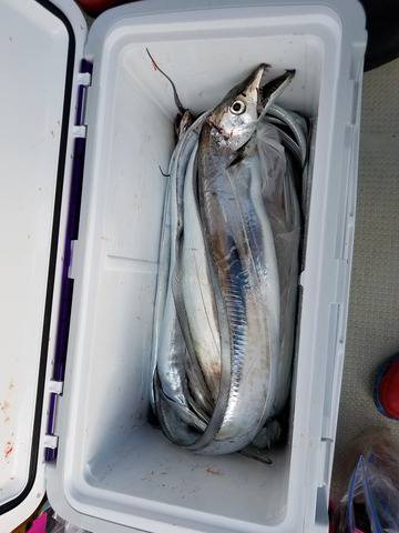 遊漁船　ニライカナイ 釣果